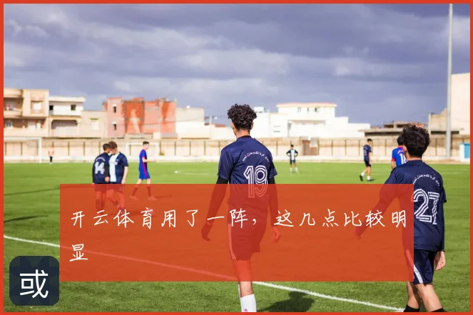 开云体育用了一阵,这几点比较明显